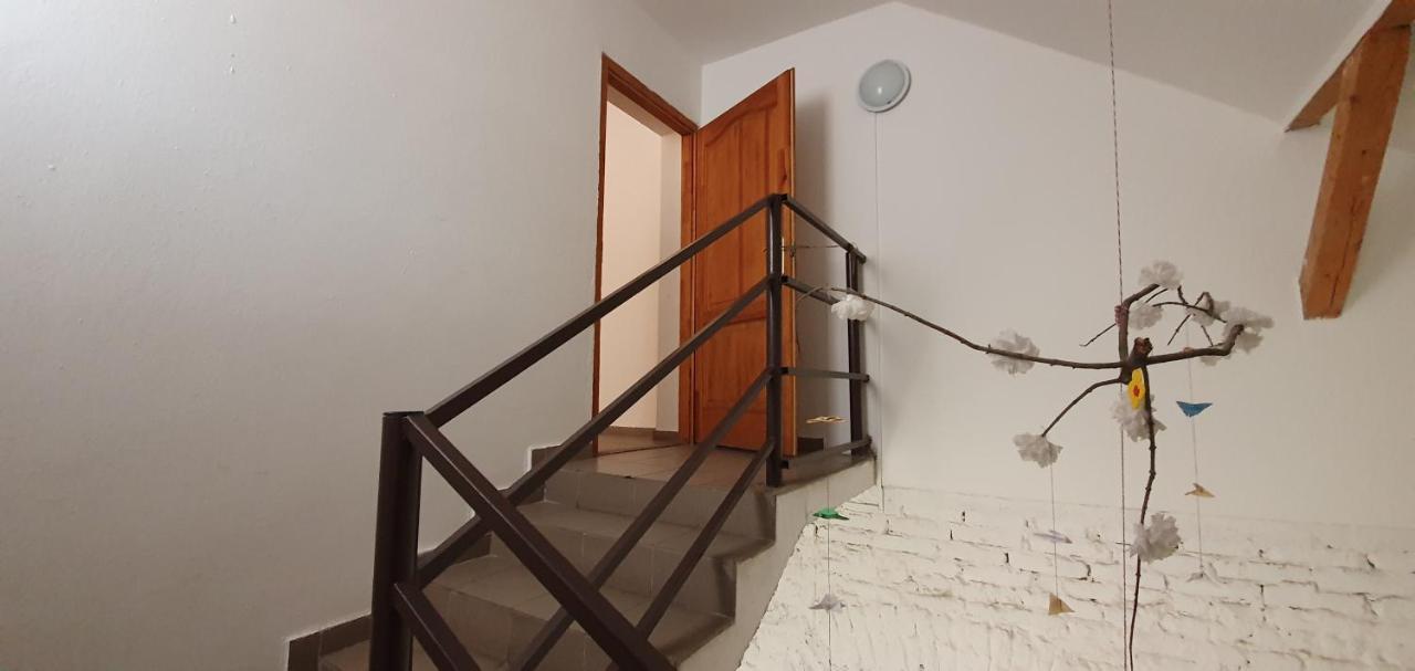 Hostel Romzsa Todor Kollegium Szegedin Exterior foto