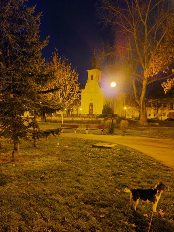 Hostel Romzsa Todor Kollegium Szegedin Exterior foto